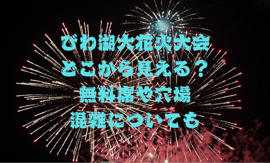 びわ湖大花火大会どこから見える