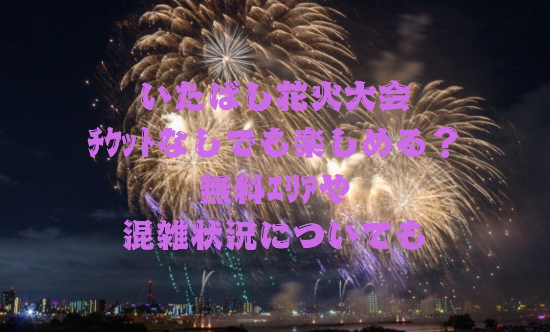 いたばし花火大会ﾁｹｯﾄなしでも楽しめる