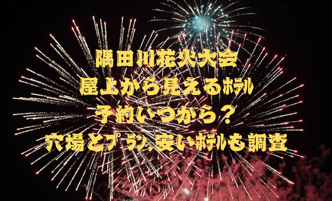 隅田川花火大会屋上から見えるﾎﾃﾙ