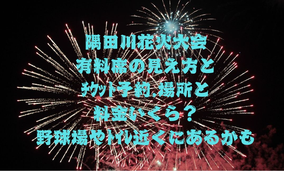 隅田川花火大会有料席の見え方