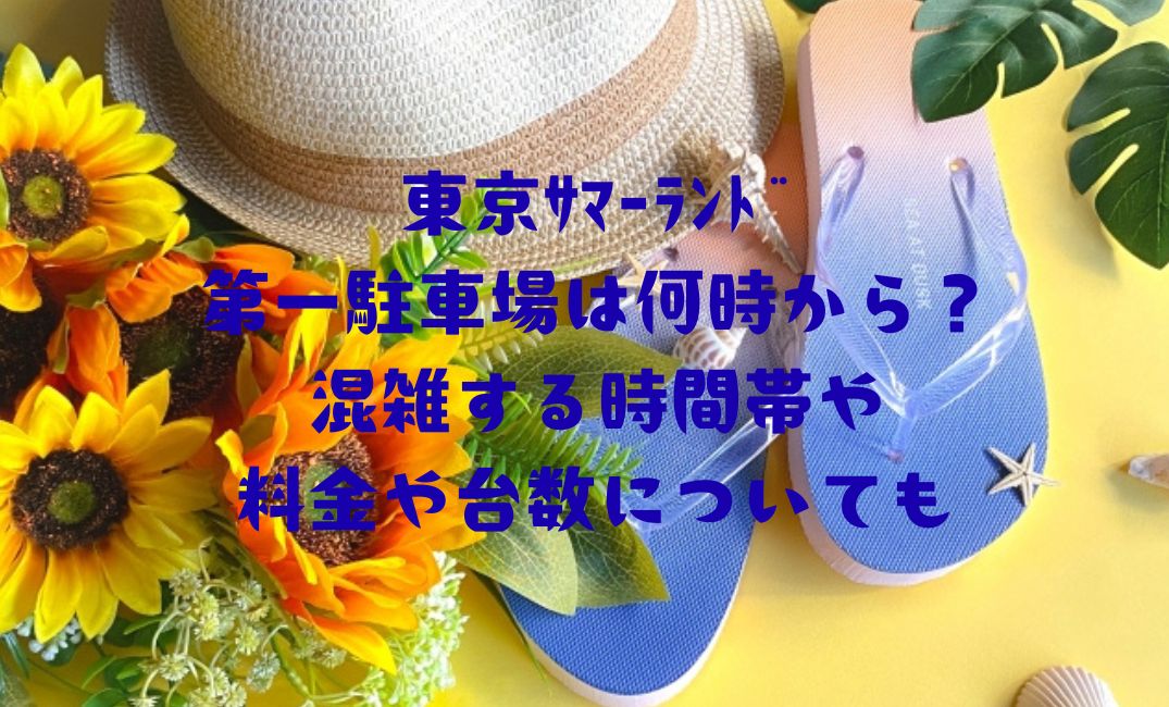 東京ｻﾏｰﾗﾝﾄﾞ第一駐車場