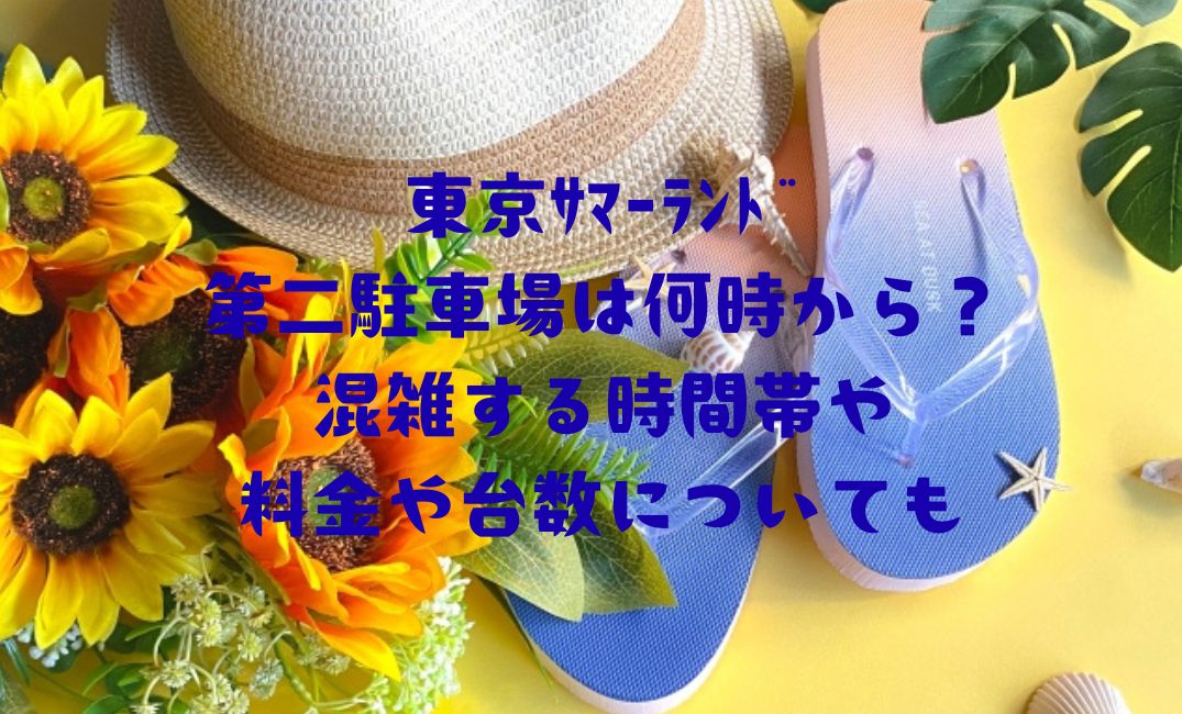 東京ｻﾏｰﾗﾝﾄﾞ第二駐車場