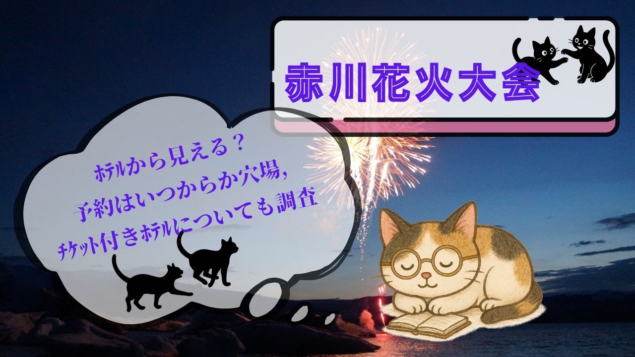 赤川花火大会ﾎﾃﾙから見える