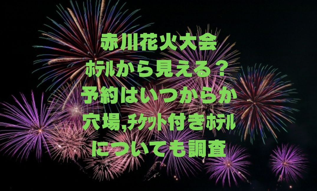 赤川花火大会ﾎﾃﾙから見える