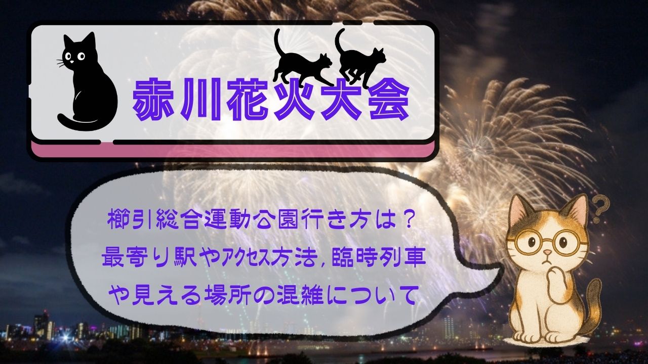 赤川花火大会櫛引総合運動公園行き方