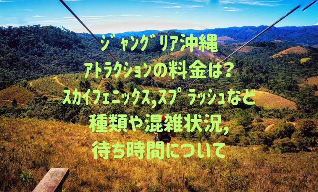 ｼﾞｬﾝｸﾞﾘｱ沖縄ｱﾄﾗｸｼｮﾝの料金