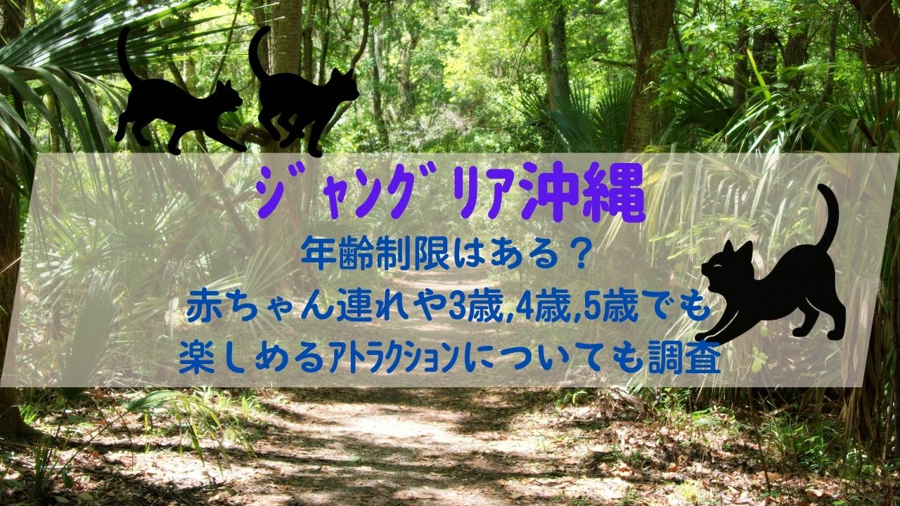 ｼﾞｬﾝｸﾞﾘｱ沖縄年齢制限はある