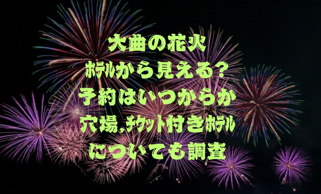 大曲の花火ﾎﾃﾙから見える