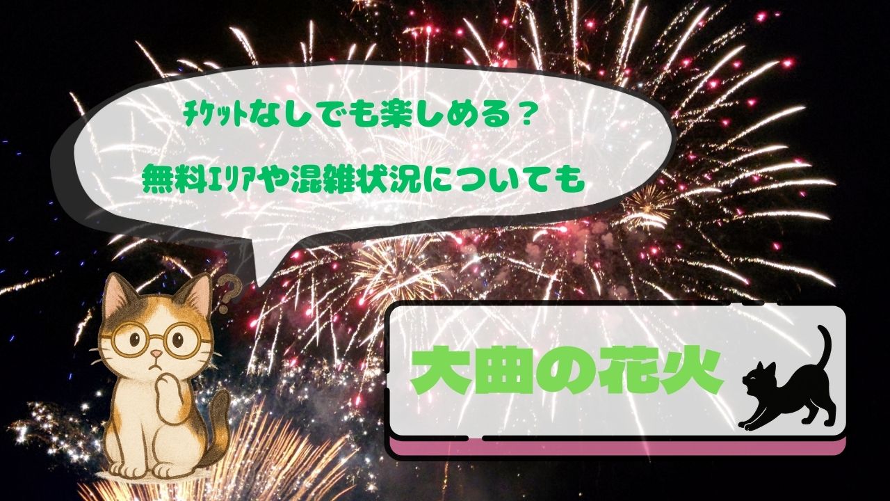 大曲の花火ﾁｹｯﾄなしでも楽しめる