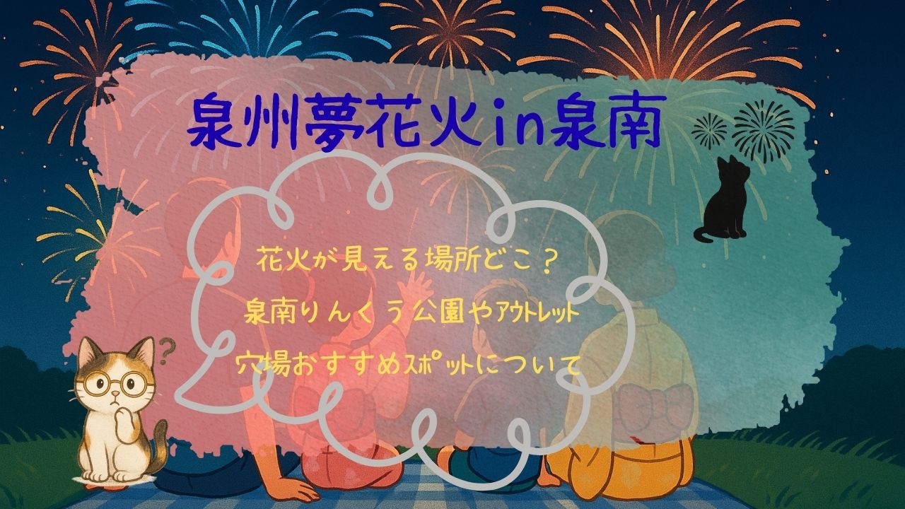 泉州夢花火in泉南花火が見える場所