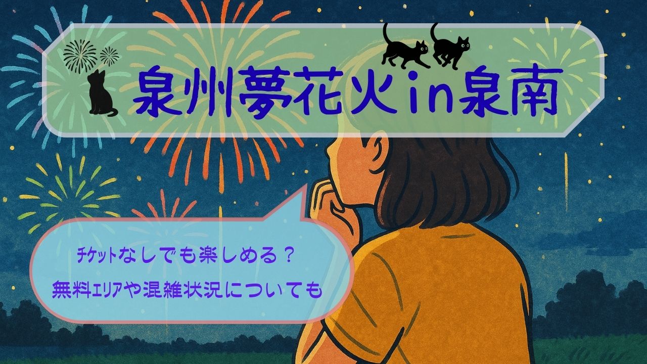 泉州夢花火in泉南ﾁｹｯﾄなしでも楽しめる