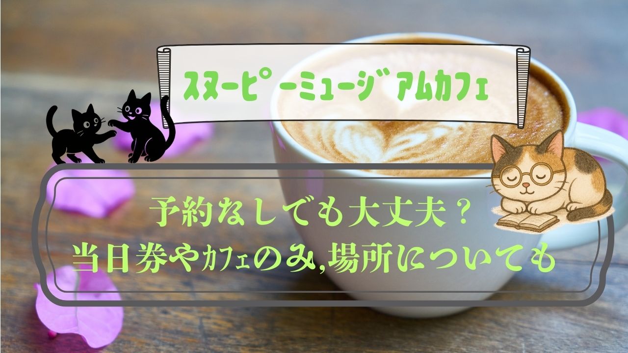 ｽﾇｰﾋﾟｰﾐｭｰｼﾞｱﾑｶﾌｪは予約なし