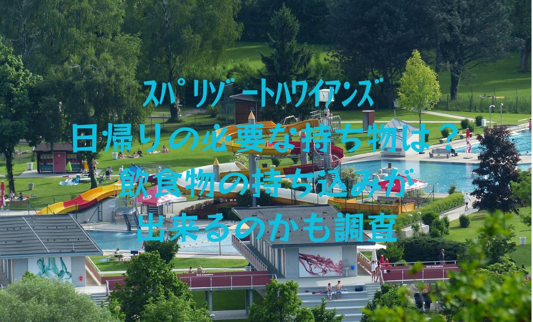 ｽﾊﾟﾘｿﾞｰﾄﾊﾜｲｱﾝｽﾞ日帰りの必要な持ち物