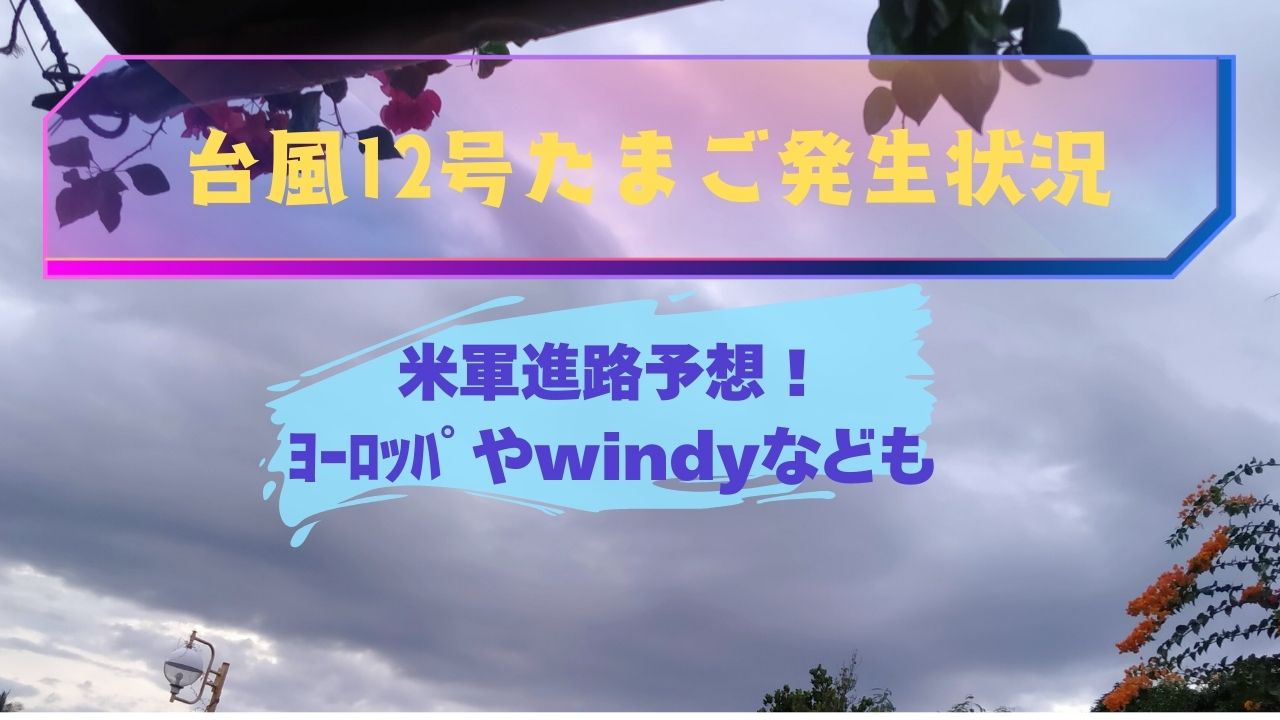 台風12号たまご発生状況