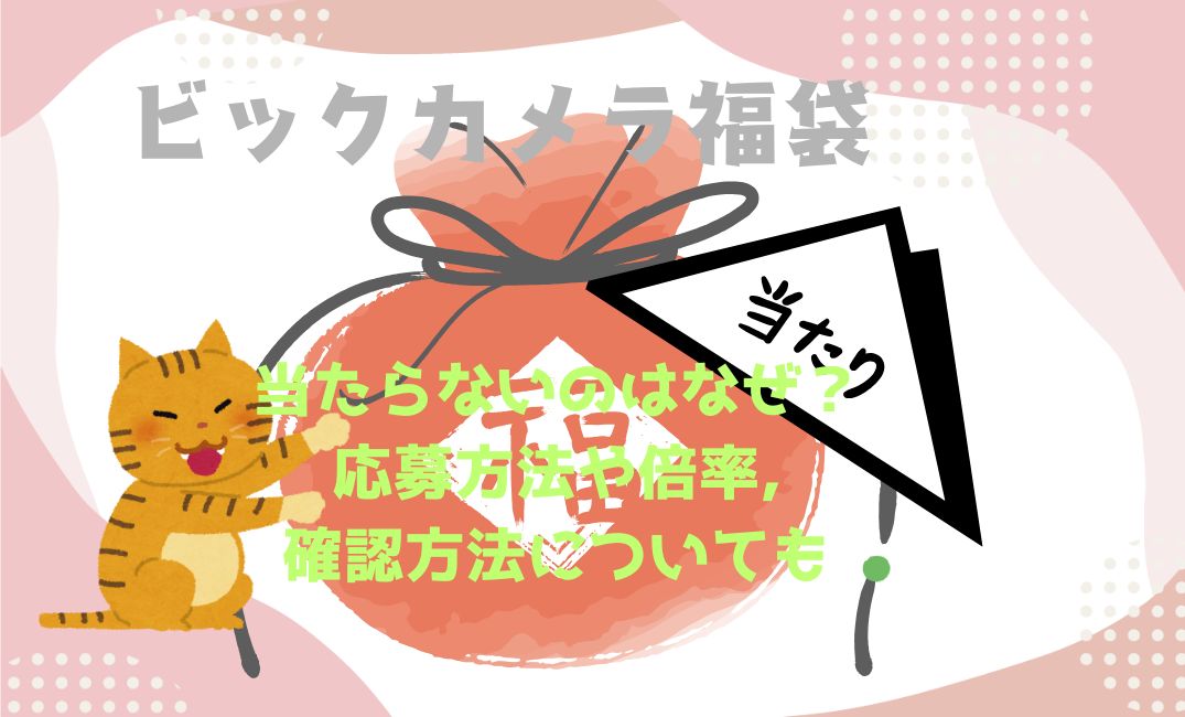 ﾋﾞｯｸｶﾒﾗ福袋当たらない