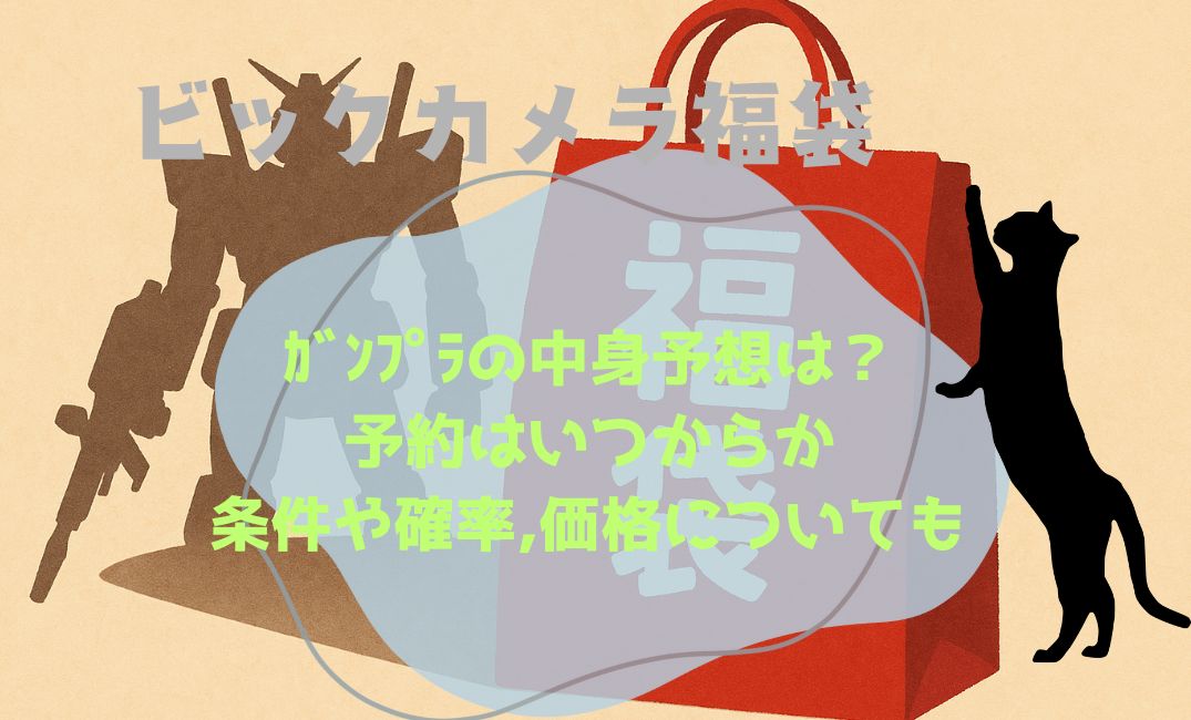 ﾋﾞｯｸｶﾒﾗ福袋ｶﾞﾝﾌﾟﾗ