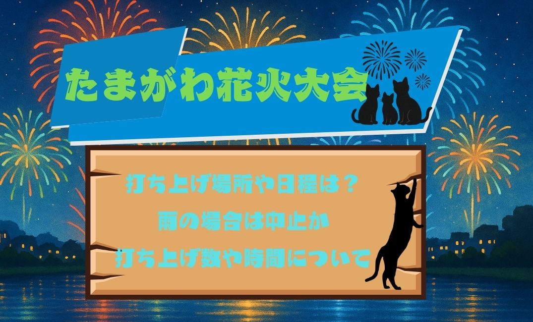 たまがわ花火大会打ち上げ場所