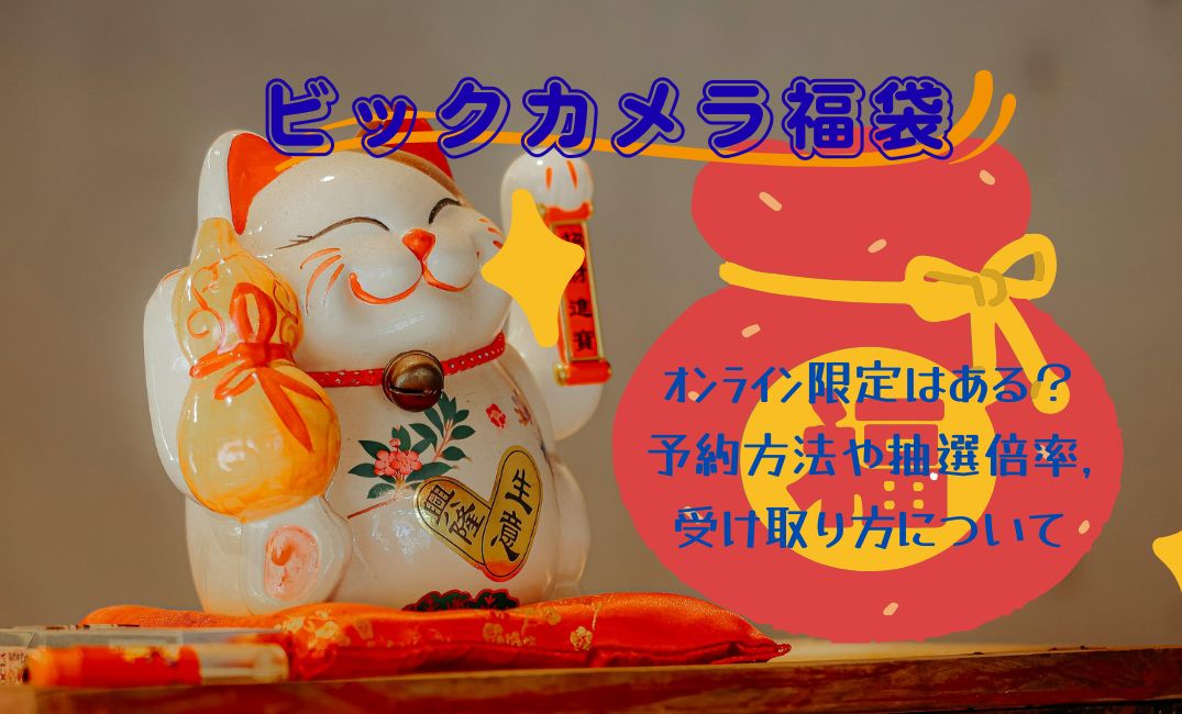 ﾋﾞｯｸｶﾒﾗ福袋ｵﾝﾗｲﾝ限定はある