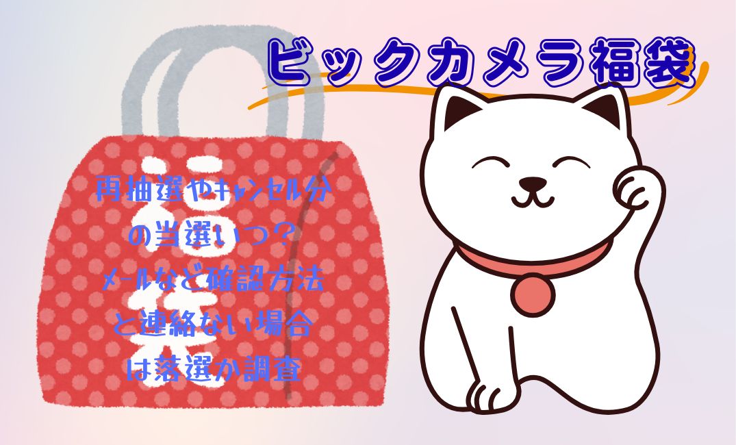 ﾋﾞｯｸｶﾒﾗ福袋再抽選
