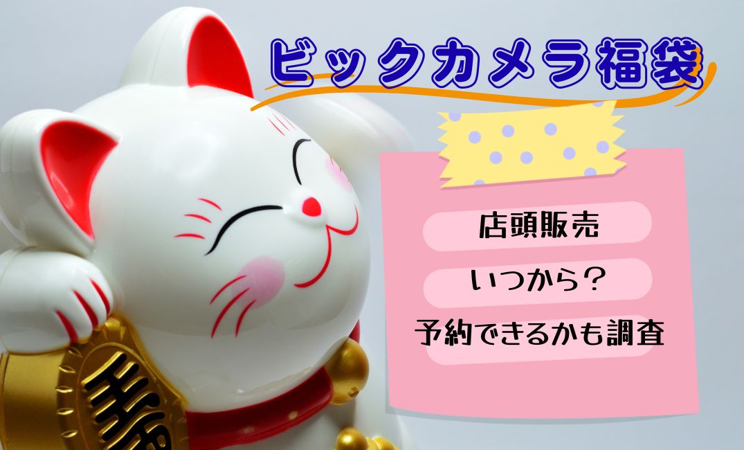 ﾋﾞｯｸｶﾒﾗ福袋店頭販売