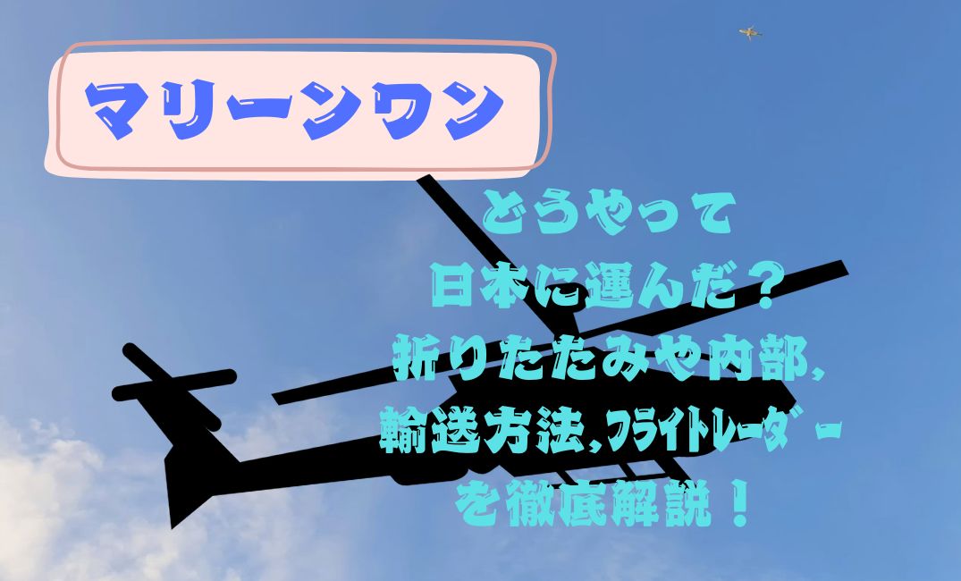 ﾏﾘｰﾝﾜﾝどうやって日本に運んだ？