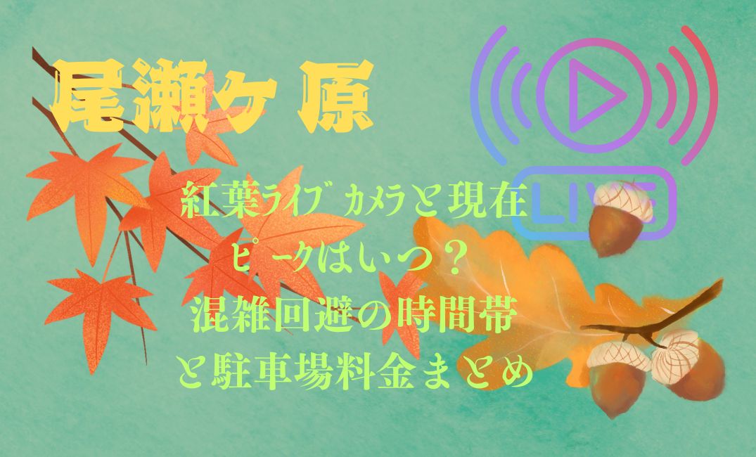 尾瀬ヶ原の紅葉ﾗｲﾌﾞｶﾒﾗと現在