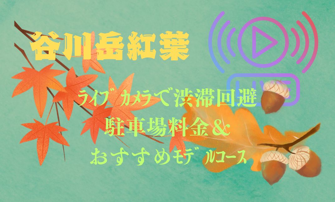 谷川岳紅葉ﾗｲﾌﾞｶﾒﾗ