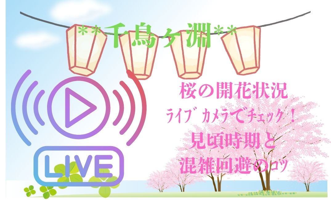 千鳥ヶ淵 桜の開花状況をﾗｲﾌﾞｶﾒﾗでﾁｪｯｸ