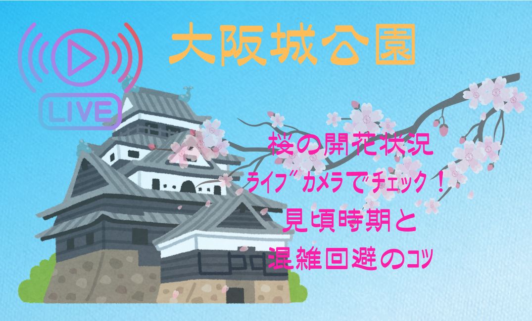 大阪城公園桜の開花状況をﾗｲﾌﾞｶﾒﾗでﾁｪｯｸ