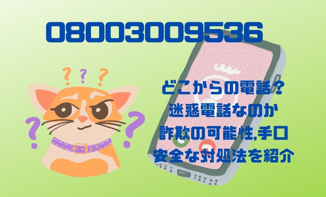 08003009536はどこからの電話？