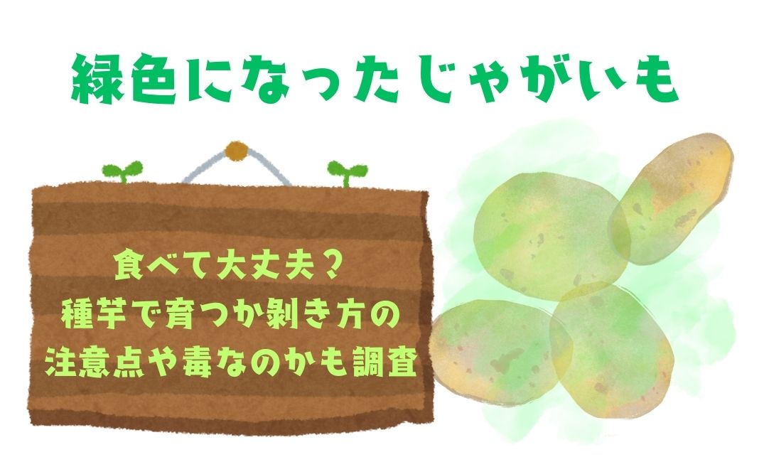 緑色になったじゃがいもは食べて大丈夫？