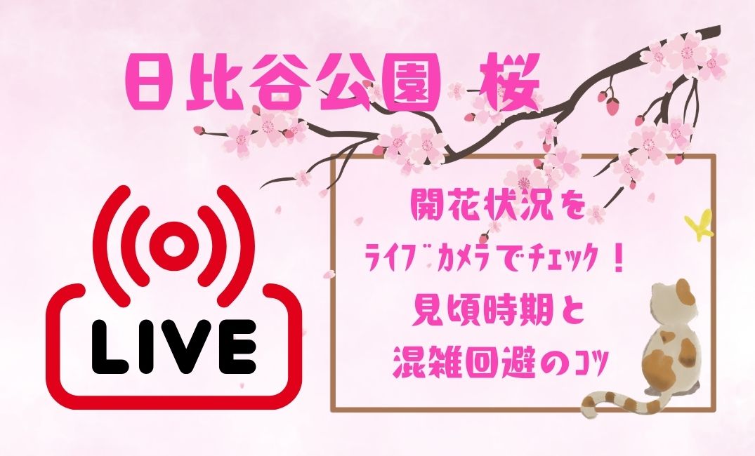 日比谷公園桜の開花状況をﾗｲﾌﾞｶﾒﾗ