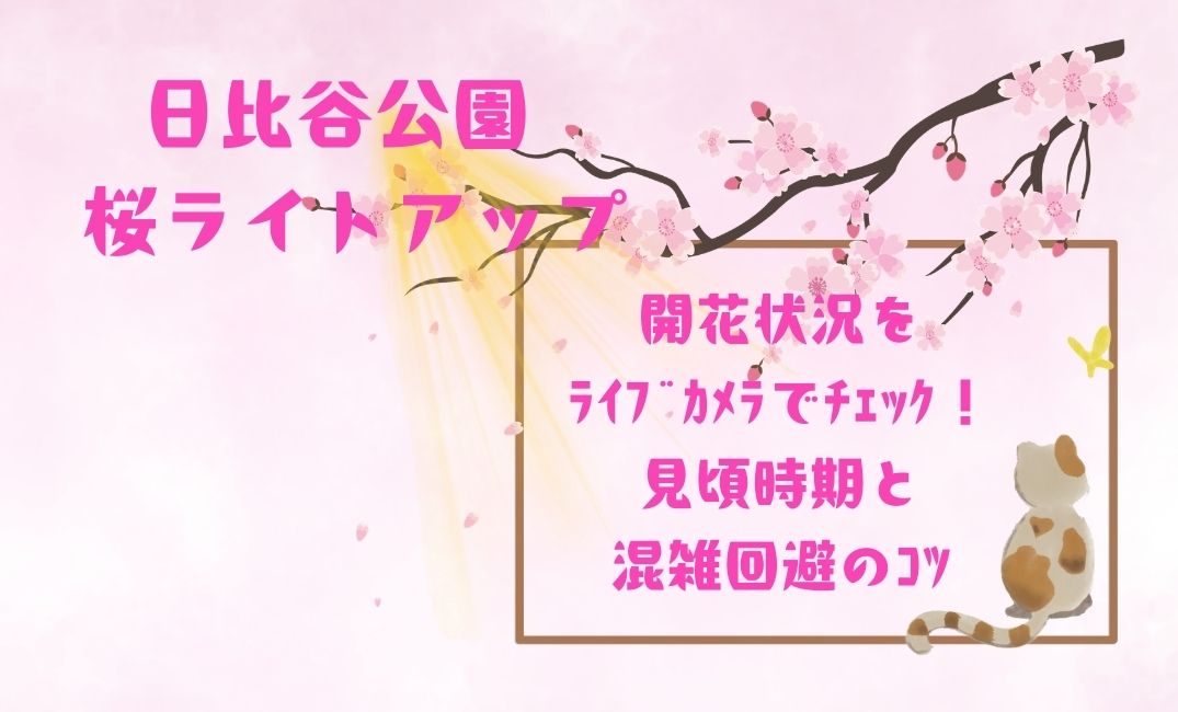日比谷公園桜ﾗｲﾄｱｯﾌﾟ時間は何時まで？