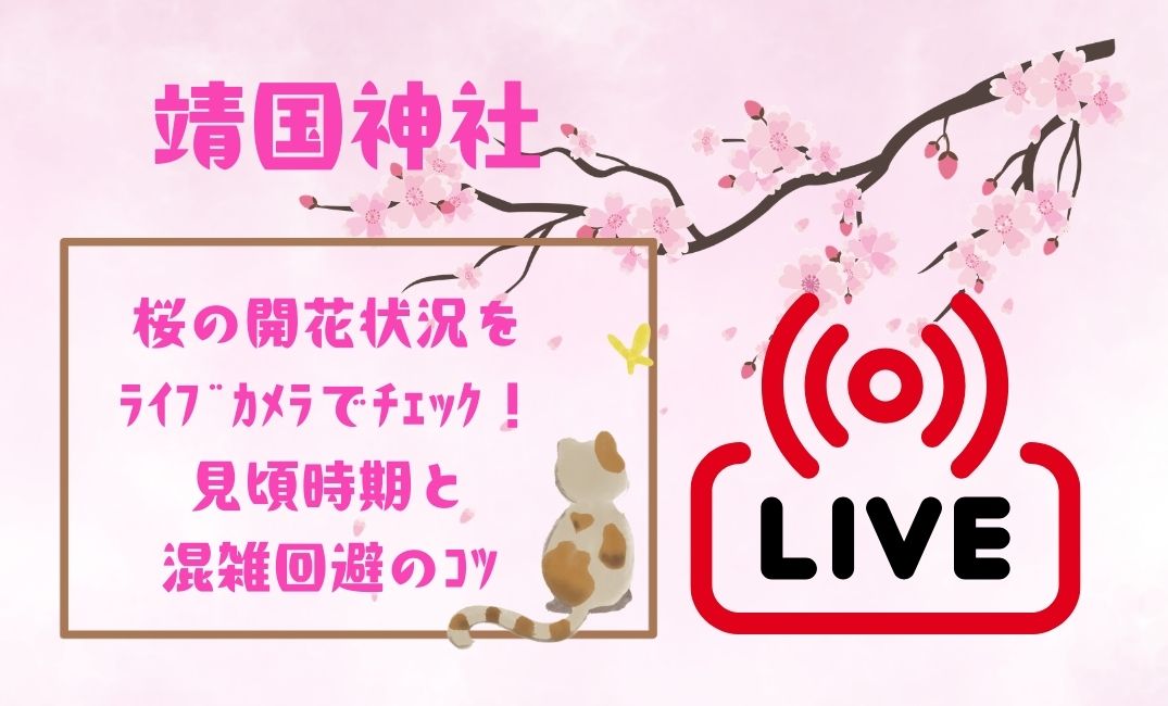 靖国神社 桜の開花状況をﾗｲﾌﾞｶﾒﾗでﾁｪｯｸ！