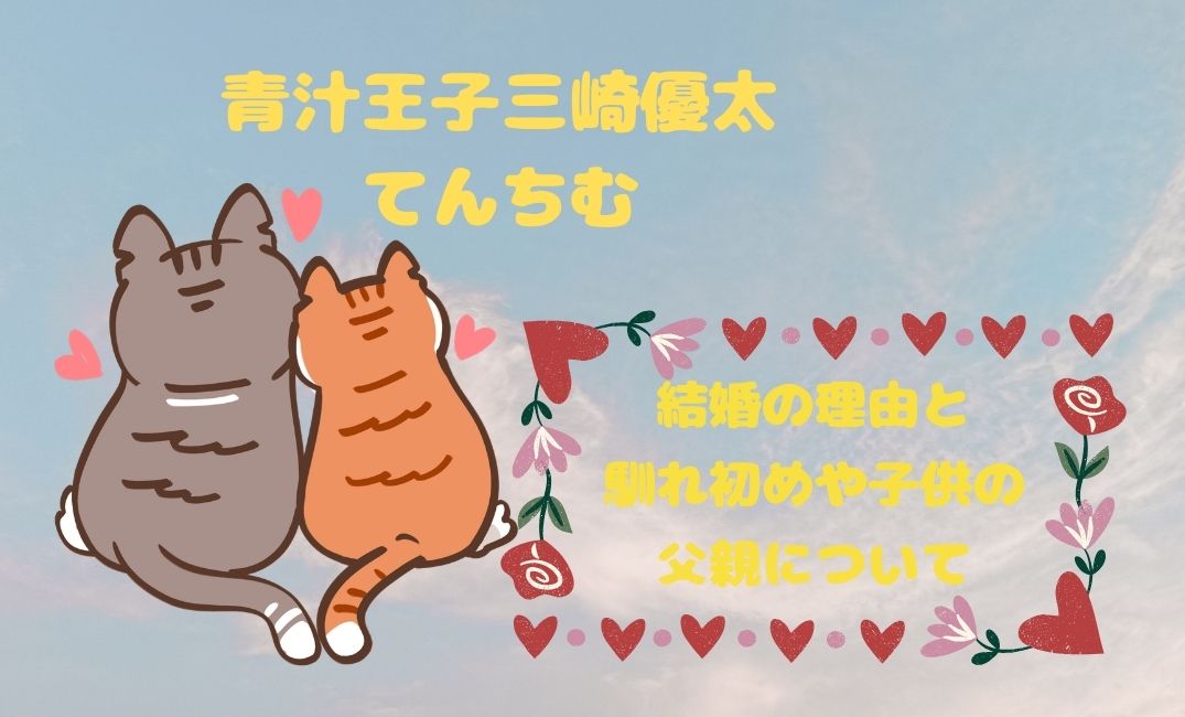 青汁王子三崎優太とてんちむ