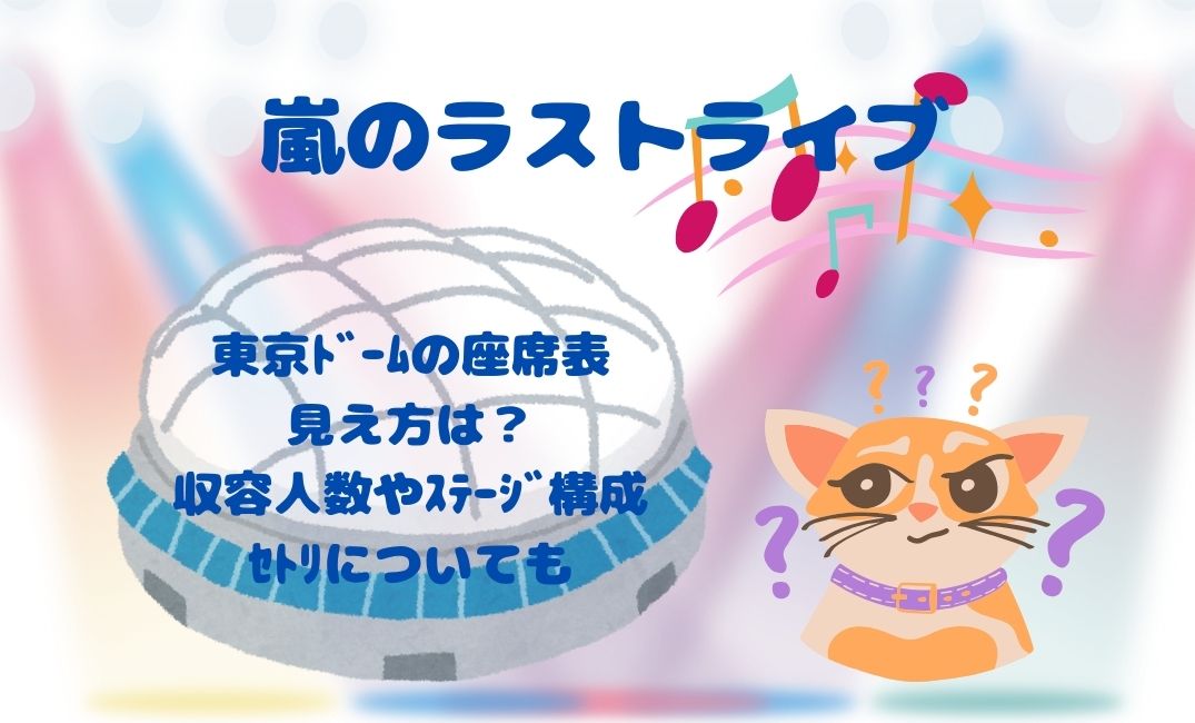 嵐ﾗｽﾄﾗｲﾌﾞ 東京ﾄﾞｰﾑの座席表