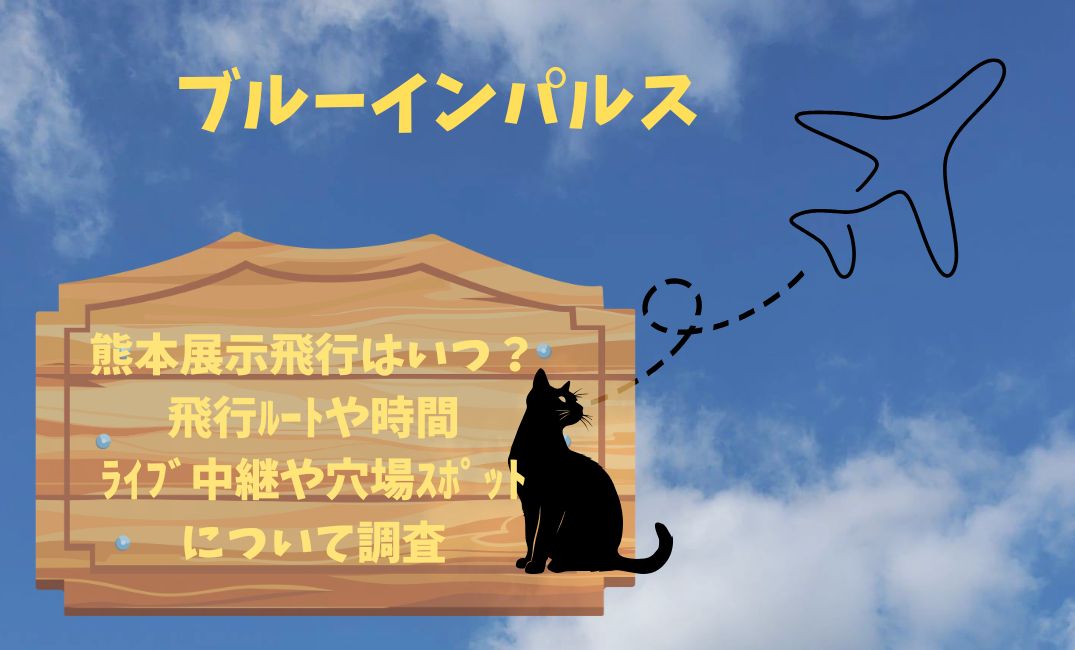 ﾌﾞﾙｰｲﾝﾊﾟﾙｽ熊本展示飛行はいつ？