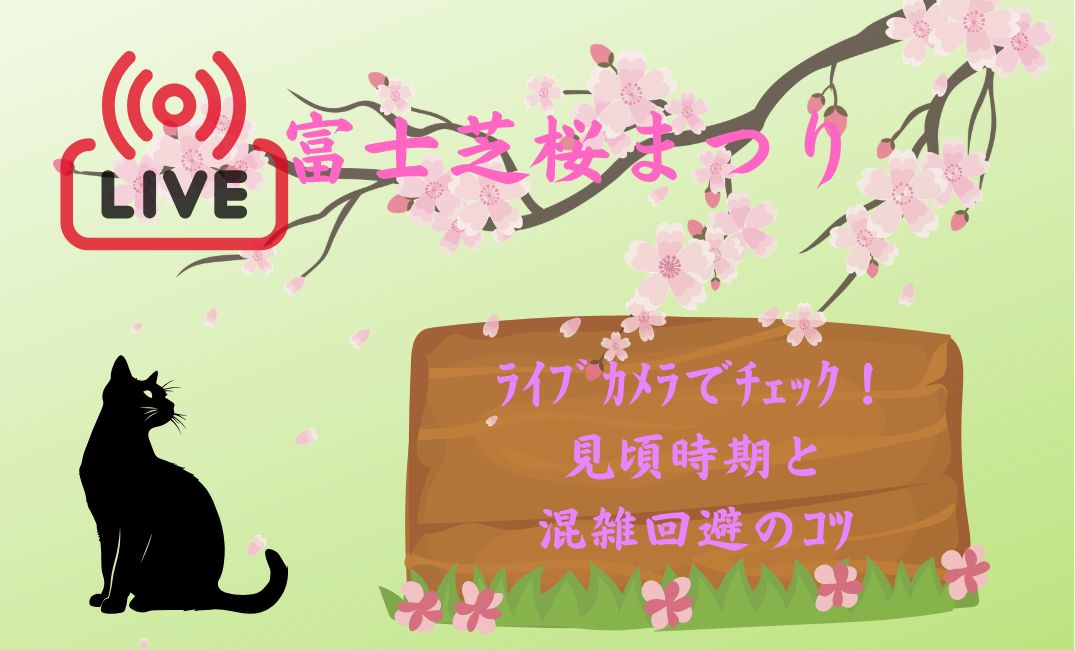 富士芝桜まつりﾗｲﾌﾞｶﾒﾗでﾁｪｯｸ！