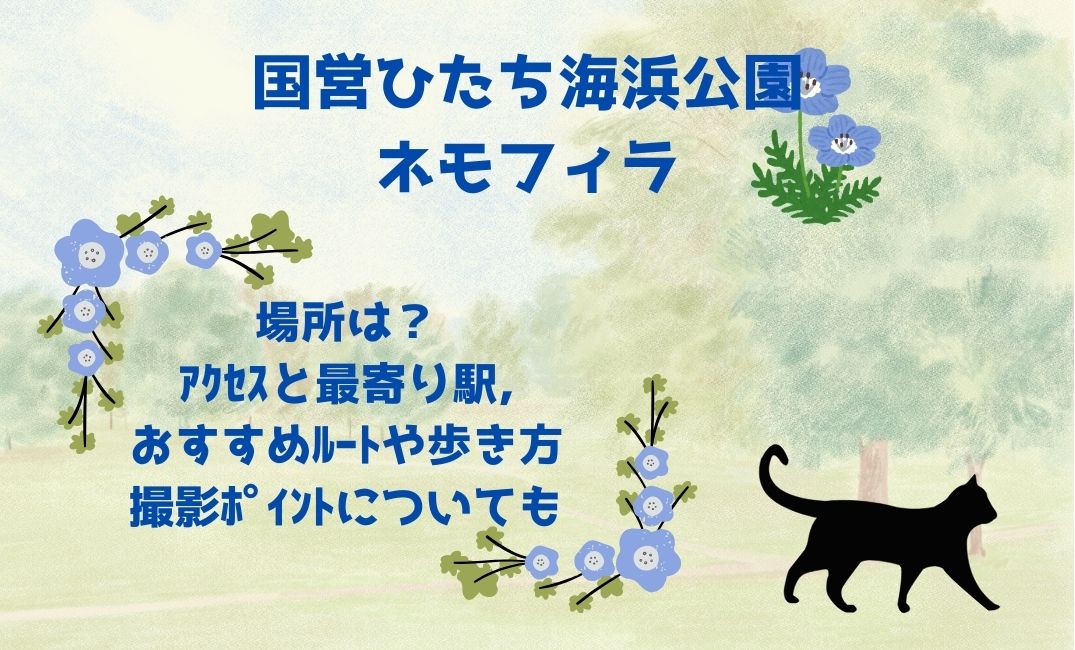 国営ひたち海浜公園ﾈﾓﾌｨﾗの場所は？