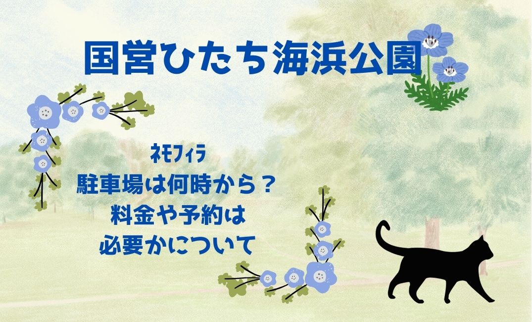 国営ひたち海浜公園ﾈﾓﾌｨﾗの駐車場