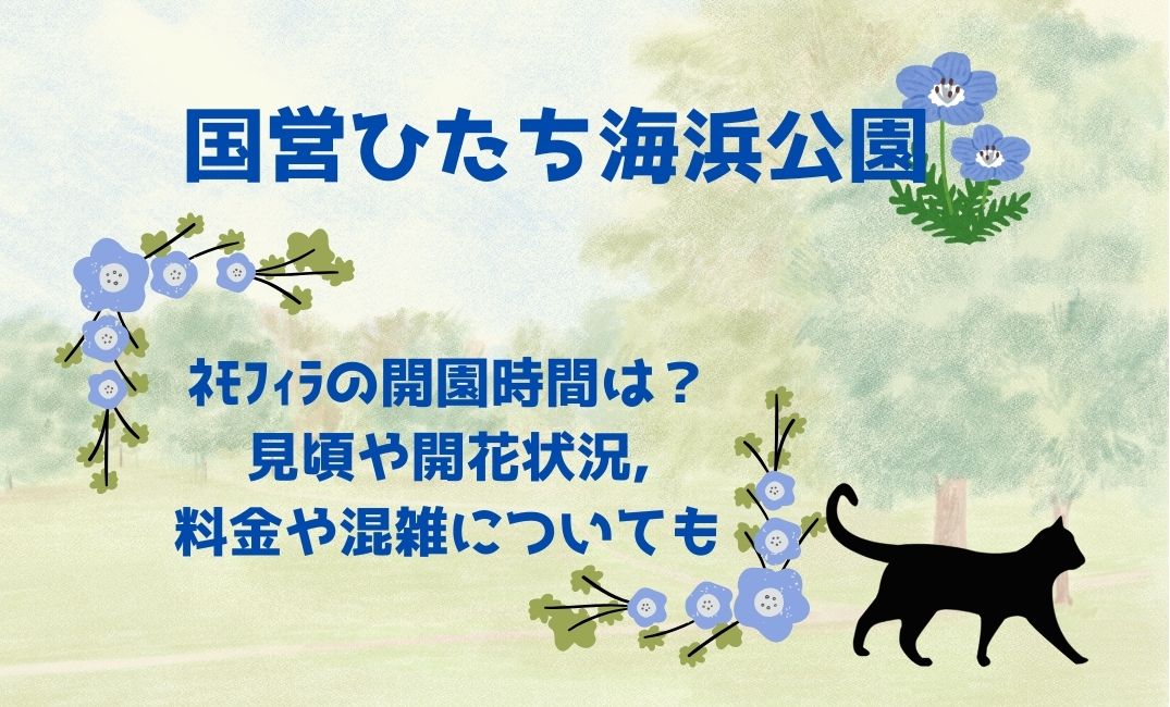 国営ひたち海浜公園ﾈﾓﾌｨﾗ