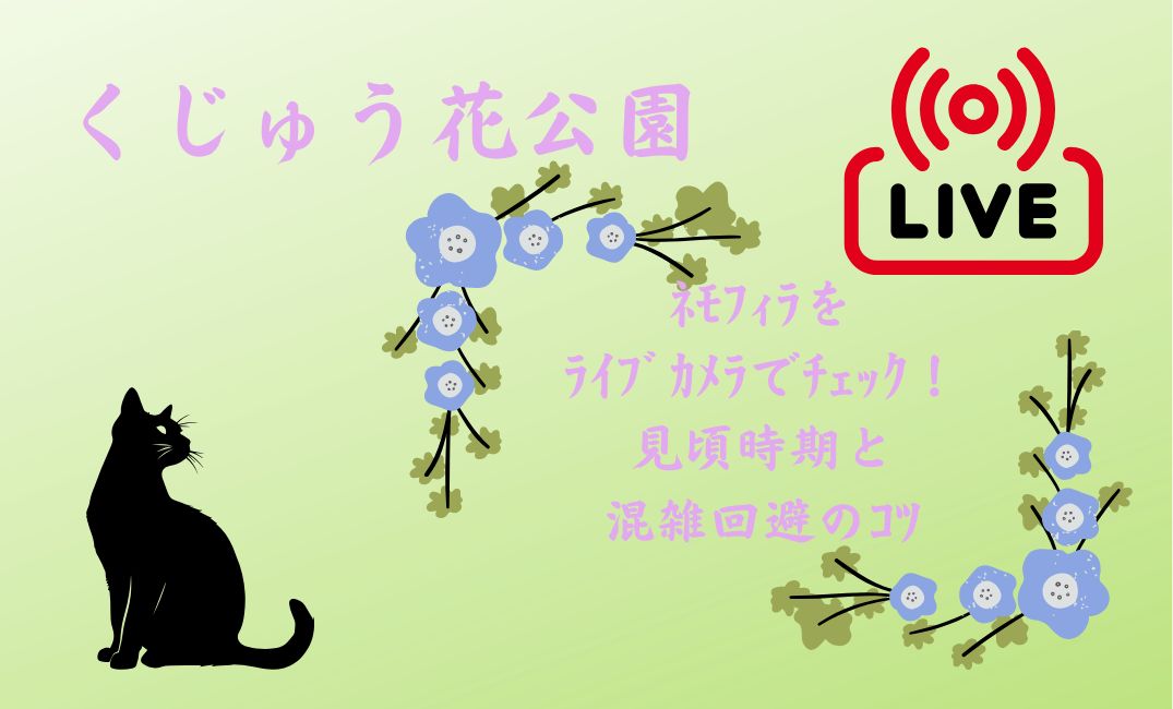 くじゅう花公園ﾈﾓﾌｨﾗをﾗｲﾌﾞｶﾒﾗ