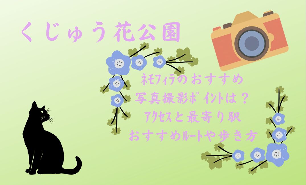 くじゅう花公園ﾈﾓﾌｨﾗのおすすめ