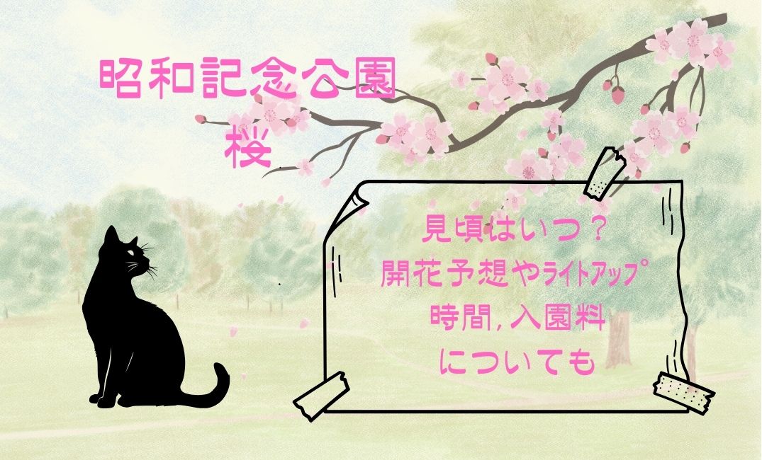 昭和記念公園桜の見頃はいつ？