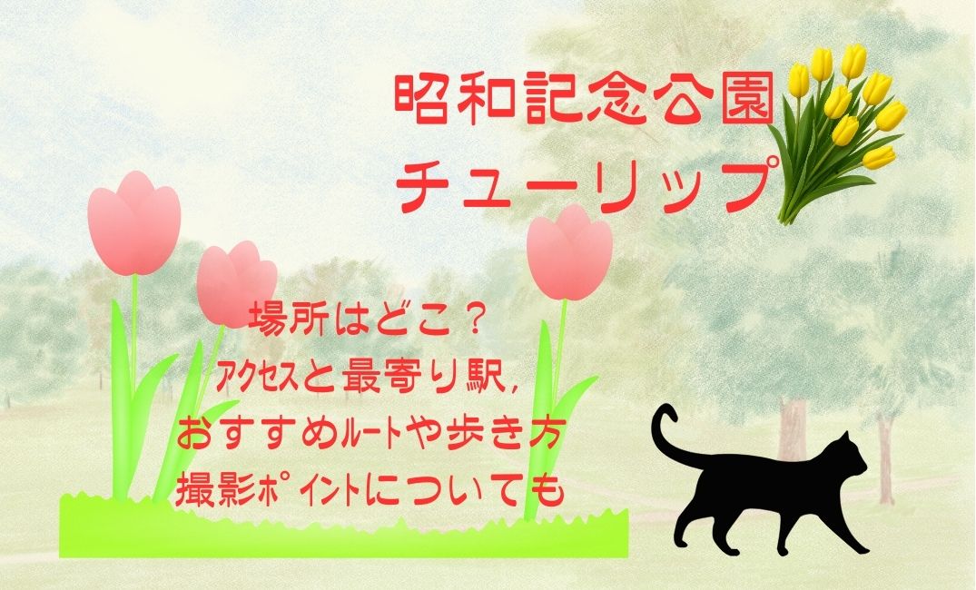 昭和記念公園ﾁｭ-ﾘｯﾌﾟの場所はどこ？