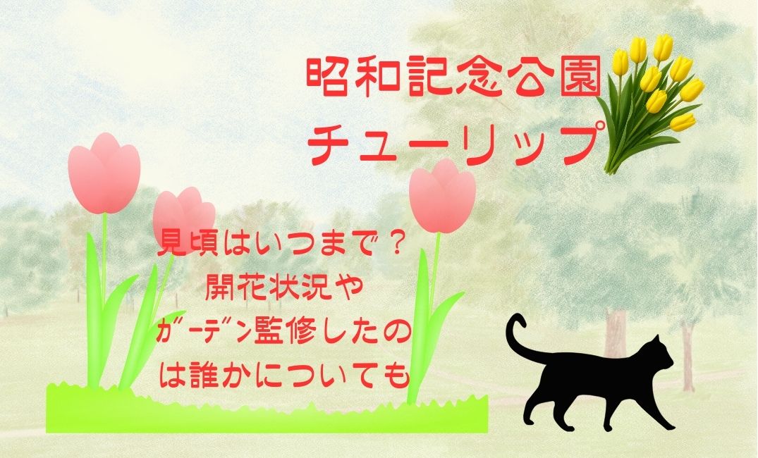 昭和記念公園ﾁｭ-ﾘｯﾌﾟの見頃