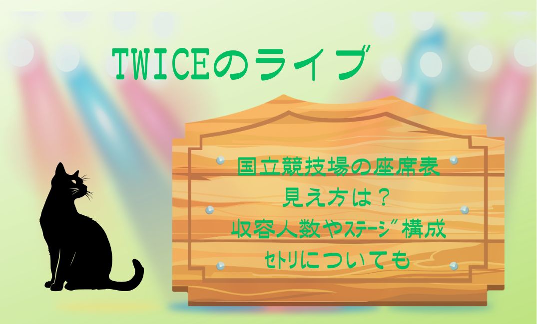 twiceﾗｲﾌﾞ国立競技場の座席表