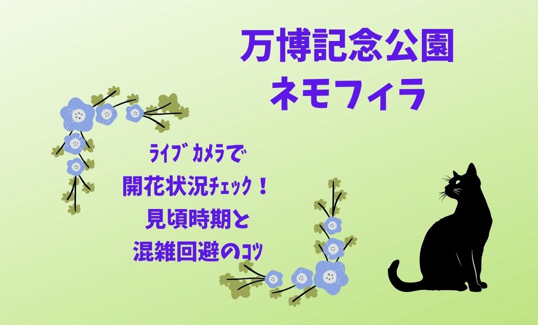 万博記念公園ﾈﾓﾌｨﾗ