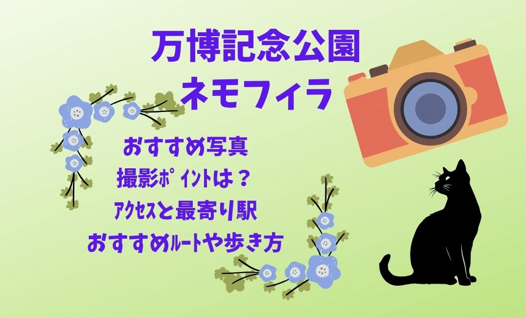 万博記念公園ﾈﾓﾌｨﾗのおすすめ写真撮影