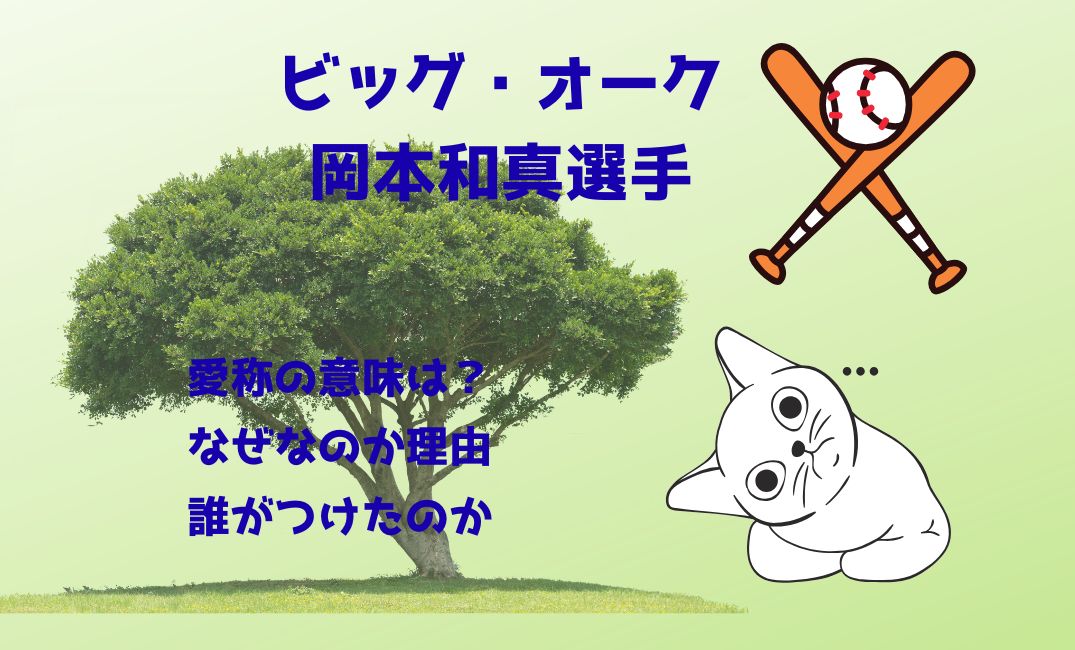 ﾋﾞｯｸﾞ･ｵｰｸ岡本和真選手